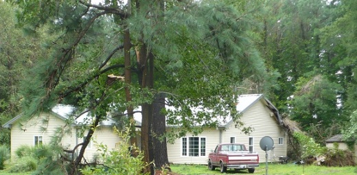 Fallen tree on home after Hurricane Irene